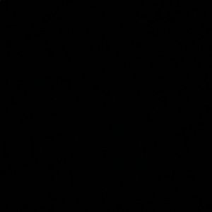 Meet your Posher, Daniela